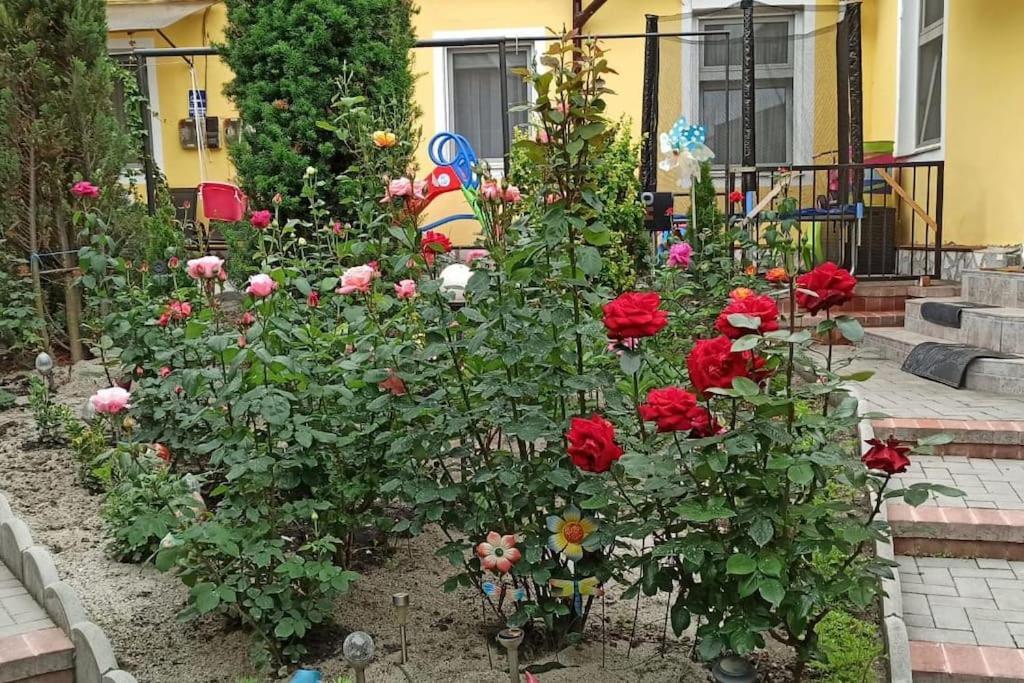 Color Home Hermannstadt 1 Eksteriør billede